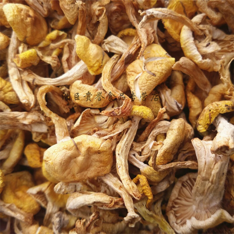 蕴召东北特产长白山小黄蘑干蘑菇小鸡炖蘑菇农家手工挑选