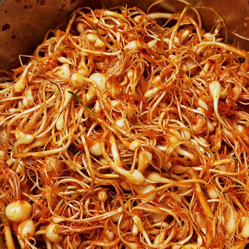 xywlkj东北特产小根蒜新鲜山野菜大脑瓜小头蒜蘸酱菜野生500g 500g