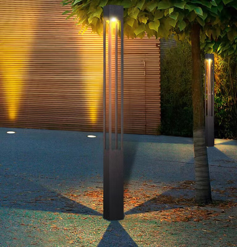 夜景亮化灯“安家”行道树 园林专家：树木“上刑”伤口处易感染腐蚀