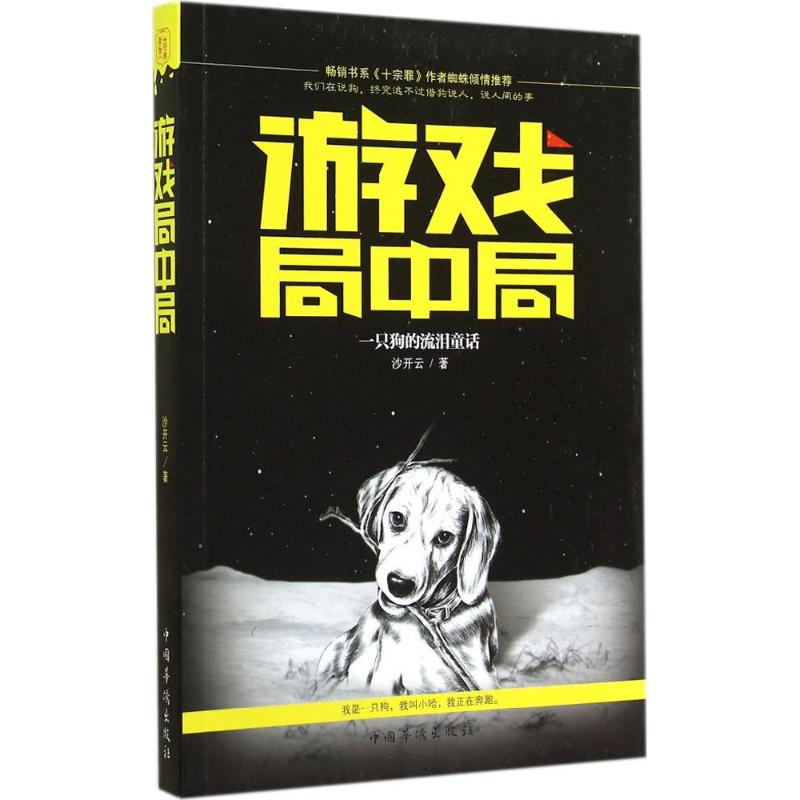 游戏局中局 沙开云 作 书籍