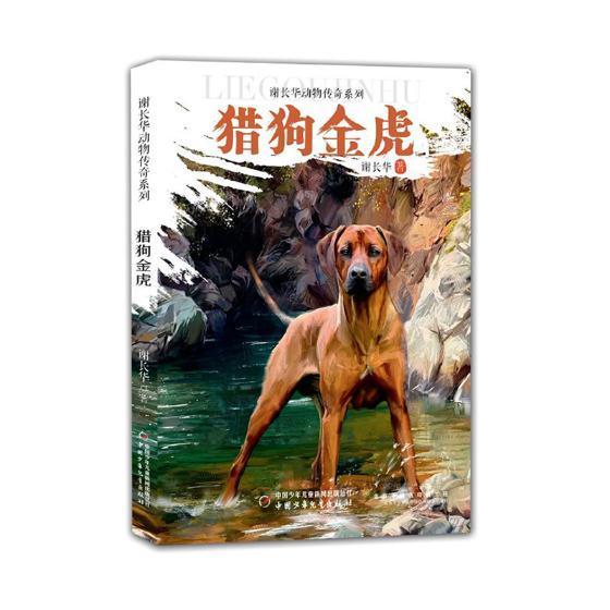 猎狗金虎/谢长华动物传奇系列童书小说长篇小说中国当代 图书