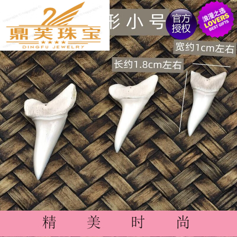 snqp专柜鲨鱼大牙齿吊坠男女个性创意原生态时尚项坠儿童科普教学标本