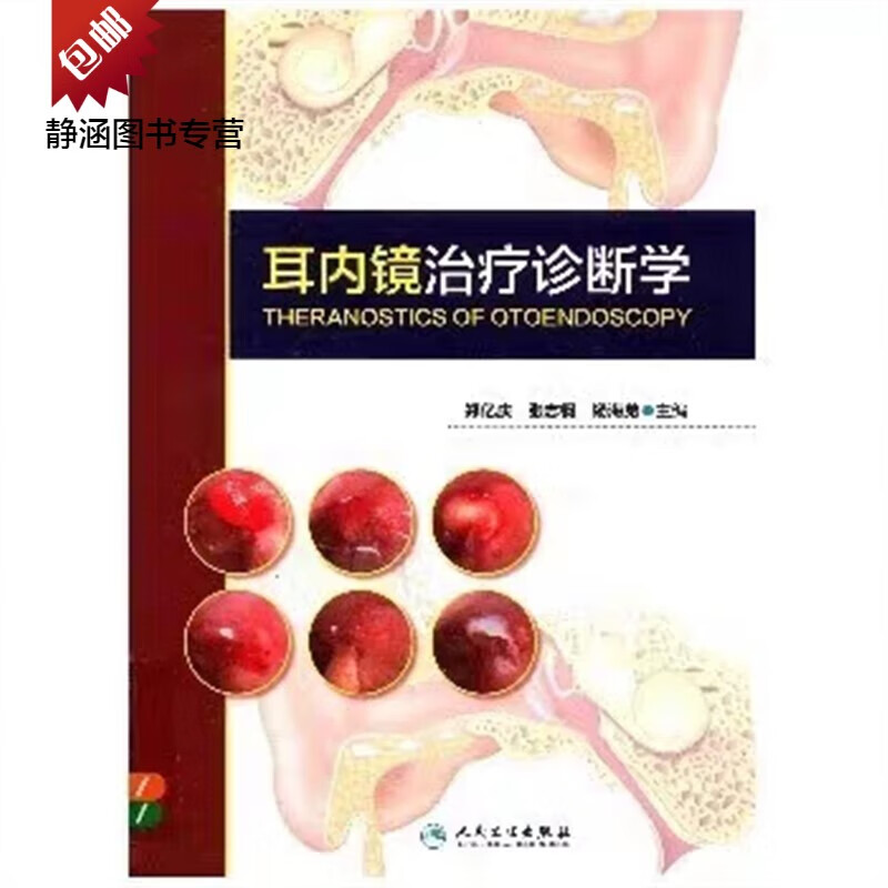 耳内镜治疗诊断学
