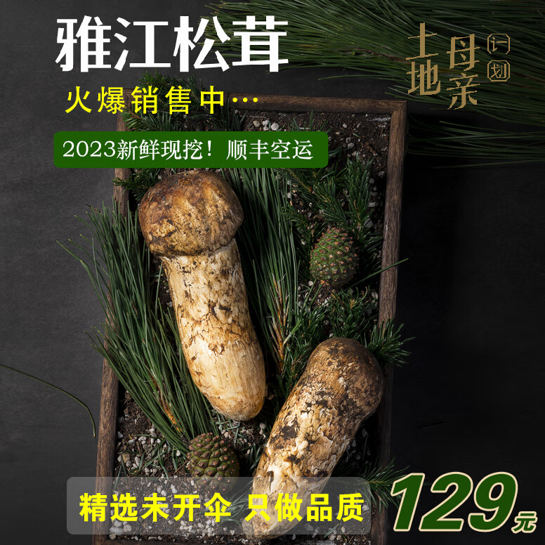 土地母亲计划雅江新鲜松茸菌未开伞精选 空运快至24小时达 团购 精选未开伞 5-5.8cm  500g使用感如何?