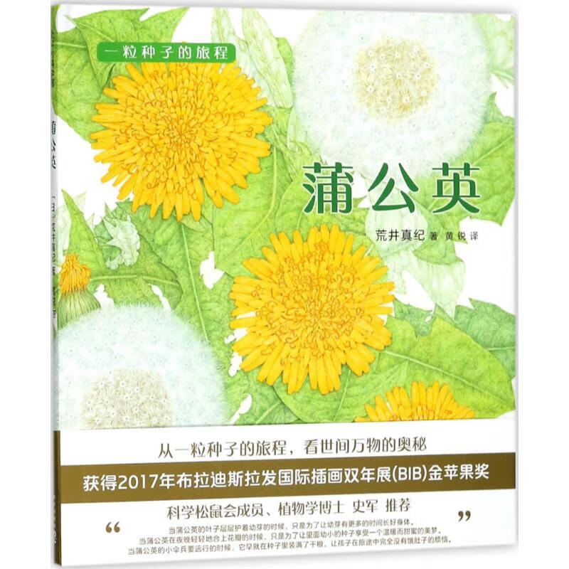 蒲公英 (日)荒井真纪 著;黄锐 译 著 绘本 图书