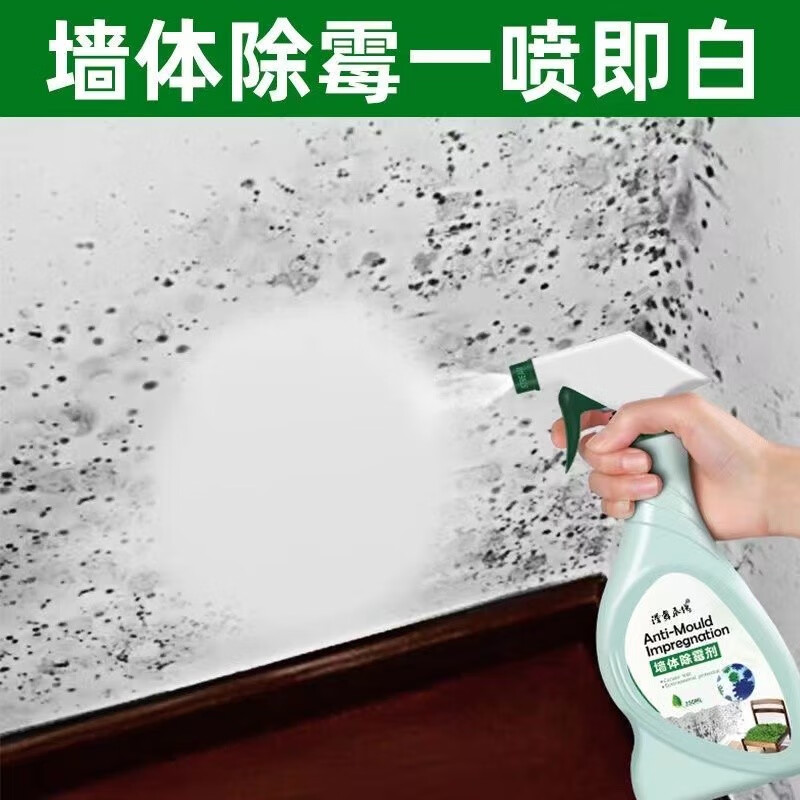 至舒（ZHISHU）墙体除霉剂墙体墙面墙壁修复膏白墙去污去霉斑清洁剂防潮防霉剂 1瓶装