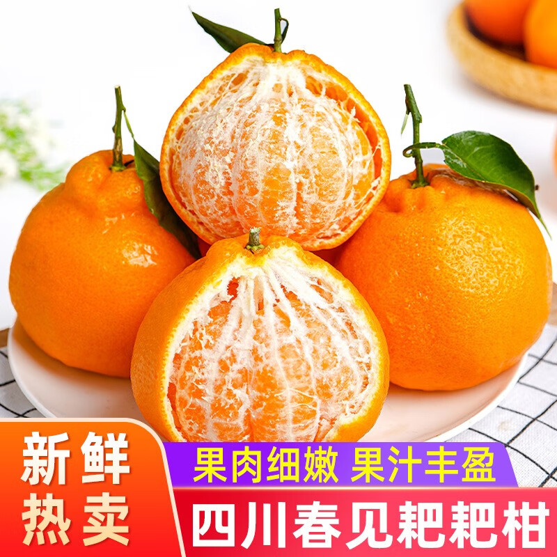 桔橘历史价格查询软件哪个好用|桔橘价格比较