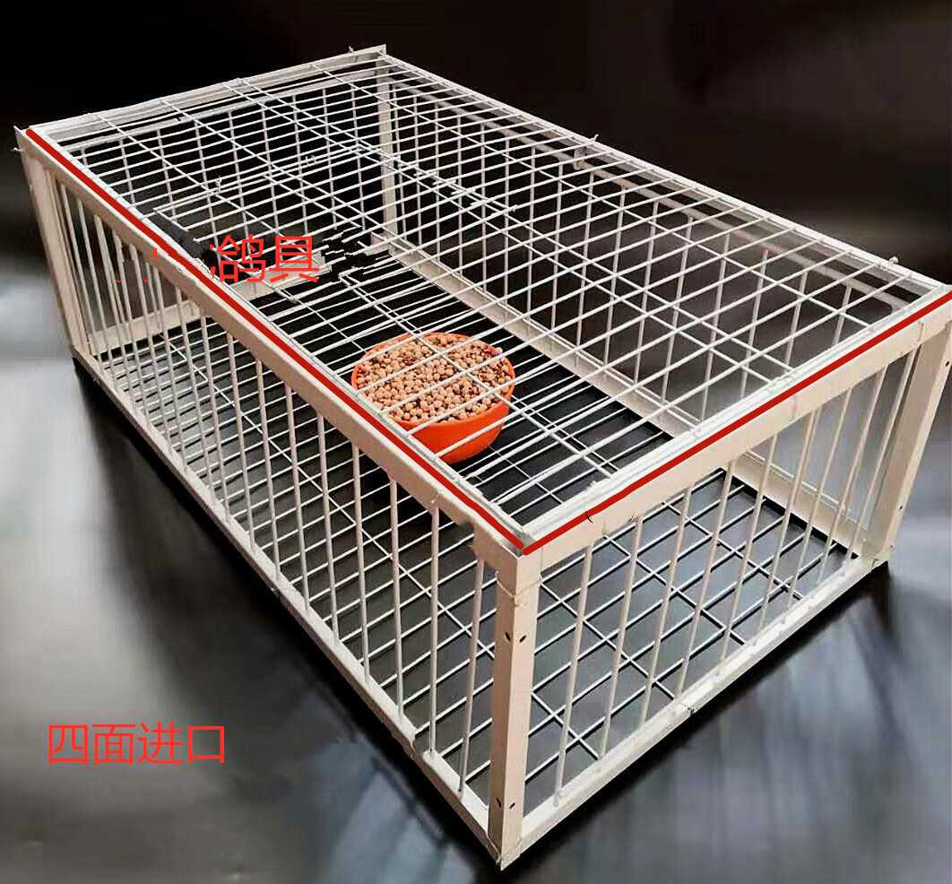 撞门笼鸽笼鸽子笼收鸽笼只进不出鸟笼 有天窗加密60x40x26高4个进口扎