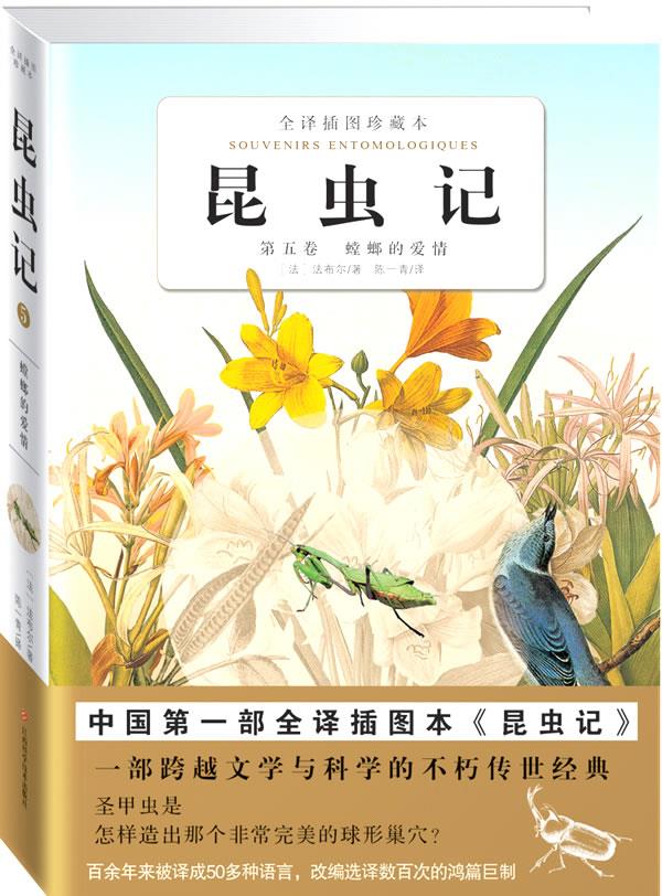 昆虫记(第5卷):螳螂的爱情