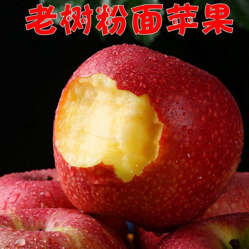 岛秦冠苹果老人吃粉面沙甜新鲜助农水果当季水果现摘现发粉面苹果新