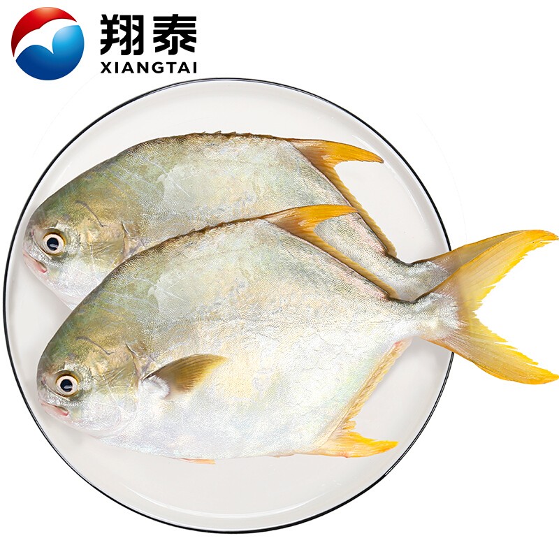 翔泰 国产海南金鲳鱼500g（2条）无公害认证 全程可追溯 鱼类 生鲜 BAP认证 海鲜水产