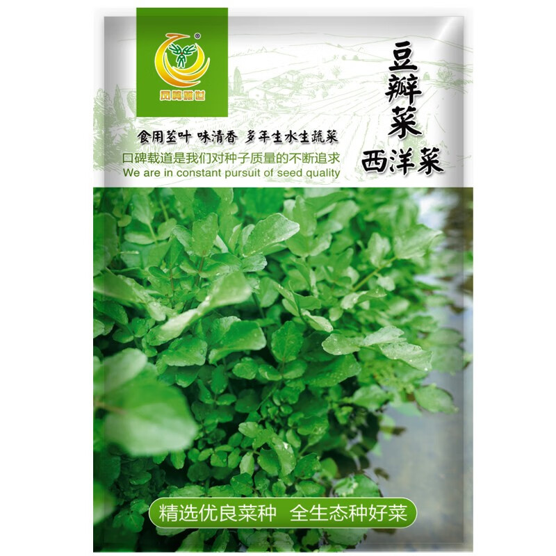 西洋菜种籽豆瓣菜种孑秋冬四季种植野生青菜种子盆栽蔬菜种子 豆瓣菜