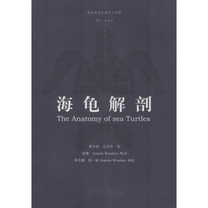 海龟解剖