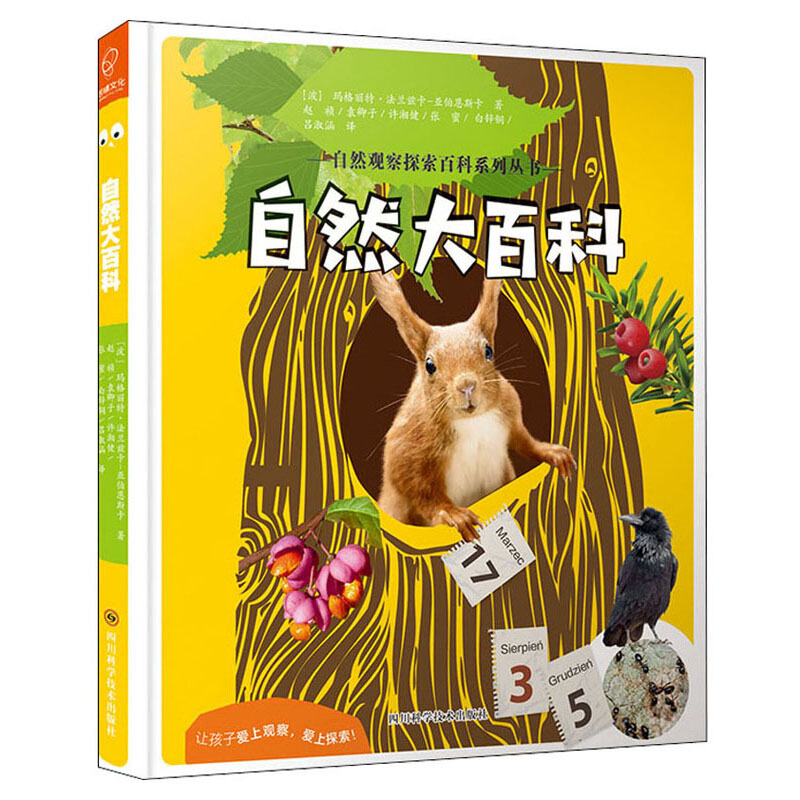 自然观察探索百科系列丛书：自然大百科