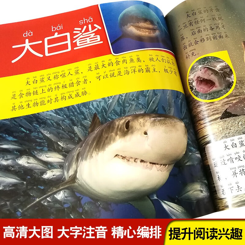 海洋动物大百科 彩图注音版科普读物 小眼睛看世界儿童科学启蒙认知百科全书暑假阅读暑假课外书课外暑假自主阅读暑期假期读物详情图
