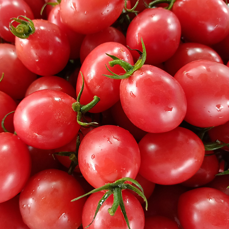 果真秀新鲜圣女果千禧小番茄农家新鲜西红柿孕妇水果当季时令果蔬 3斤