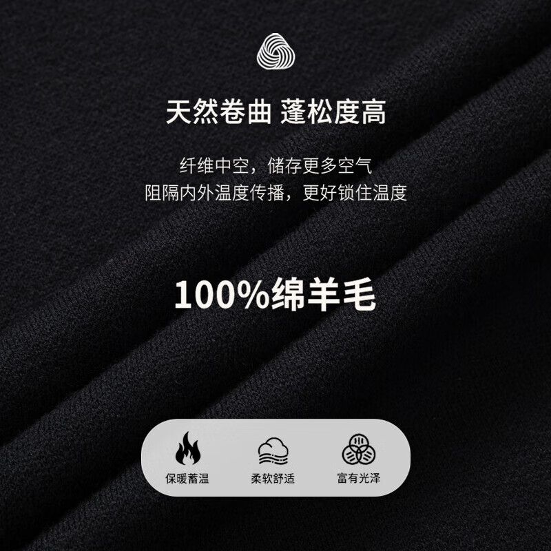 SHANSHAN杉杉【厚款】100%纯羊毛衫男士毛衣秋冬新款男装针织半高领打底衫 黑色 【高档100全羊毛 】 3XL (190/104A)