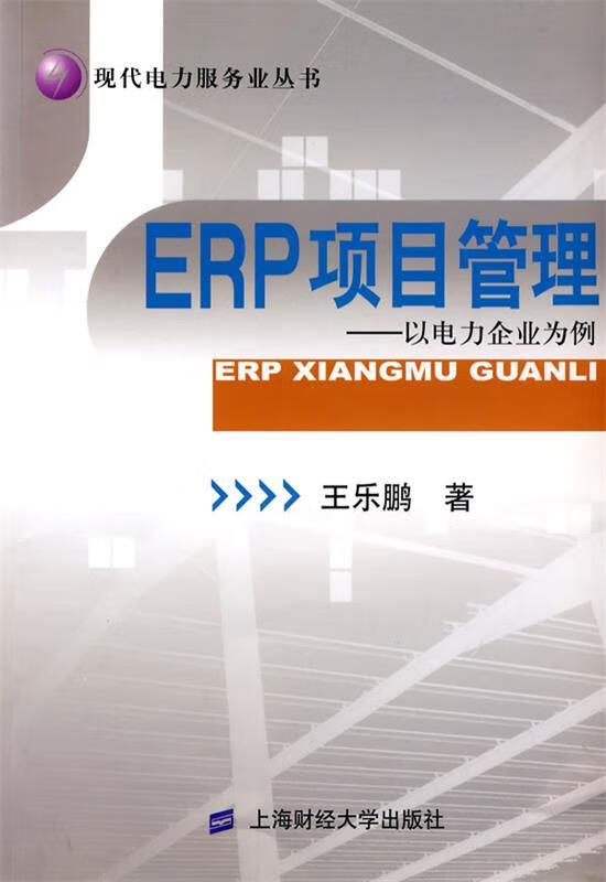 ERP项目管理—以电力企业为例 王乐鹏著