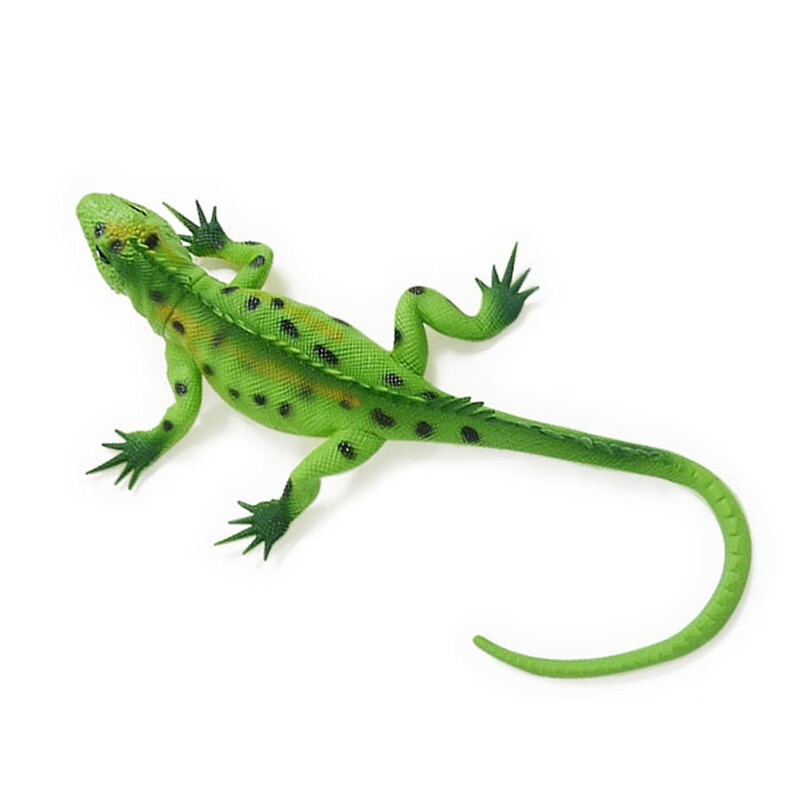 达麦欧仿真蜥蜴动物模型昆虫恐龙男孩收藏爱好组合玩具模型套装 绿