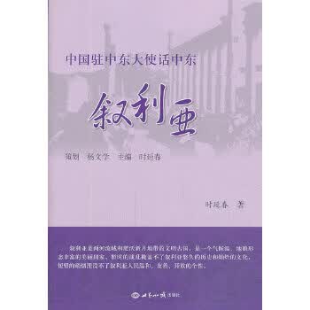 中国驻中东大使话中东:叙利亚 时延春