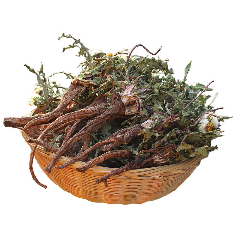 蒲公英茶泡茶叶带根儿新鲜整棵干草婆婆丁 (长根)整棵蒲公英250g