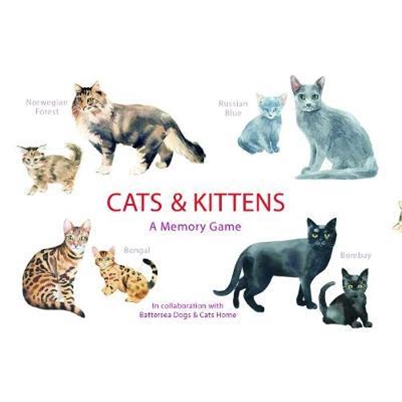Cats & Kittens:A Memory Game