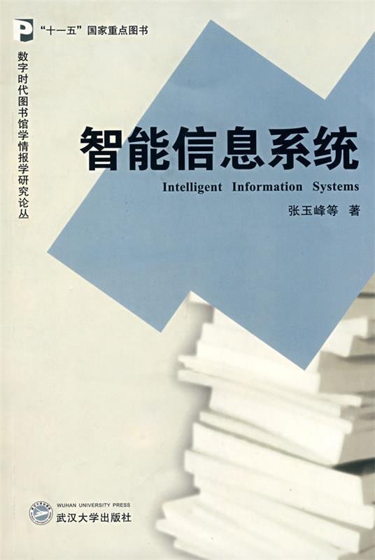 智能信息系统 张玉峰 等著【正版】