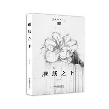 视线之下【正版图书】