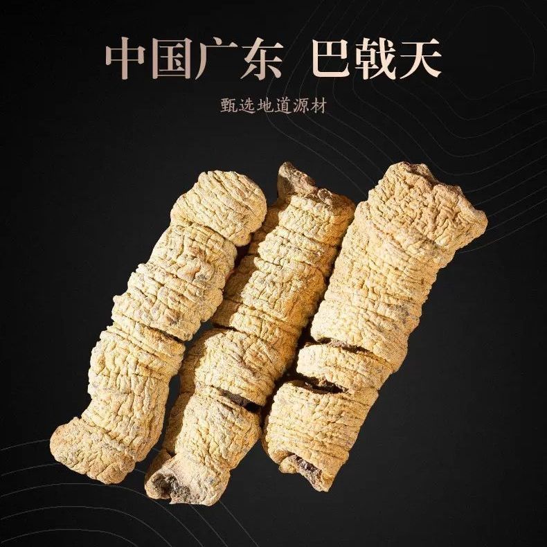 zoci新鲜巴戟天 凤眼根特级生晒巴戟天中药材滋补配肉苁蓉杜仲锁阳