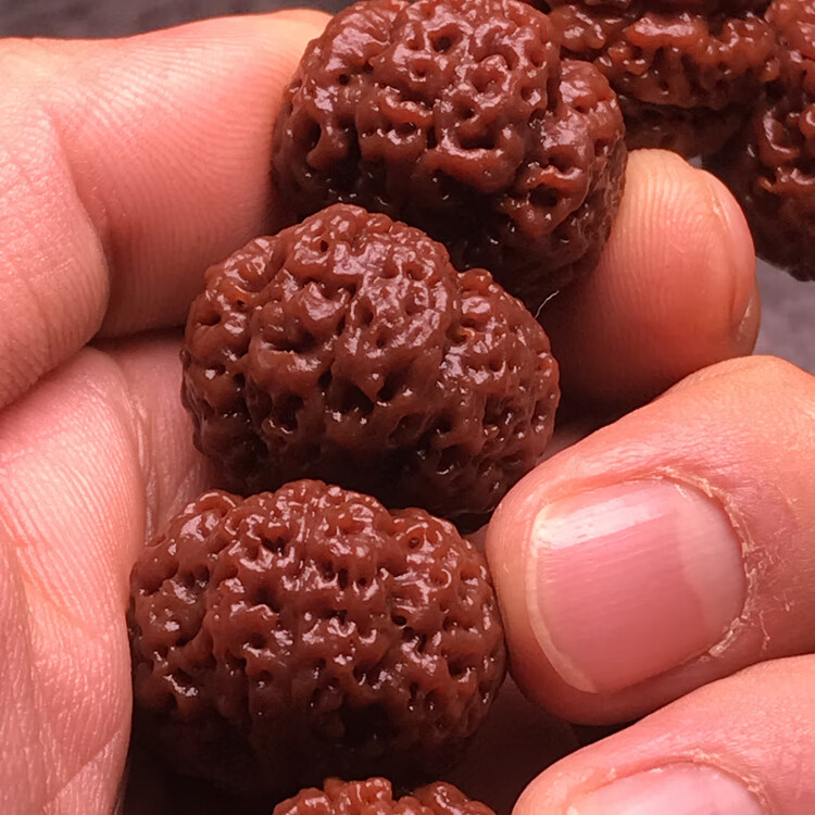 甄熙(zhenxi)机刷包浆尼泊尔大金刚菩提子手串5瓣爆肉沉水蜂王梅花