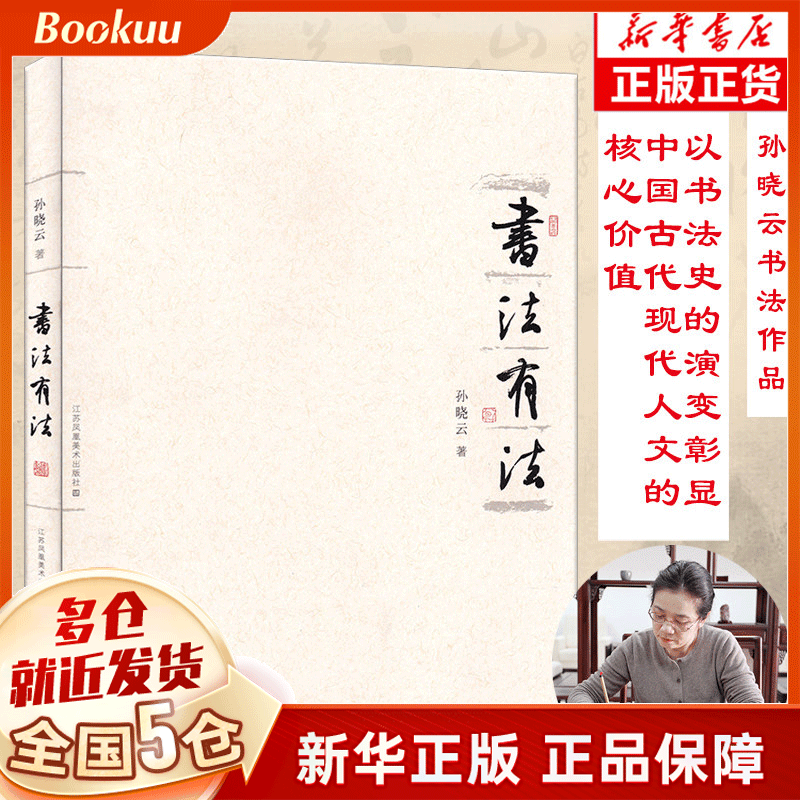 书法有法 孙晓云力作 中国传世书法技法教程鉴赏
