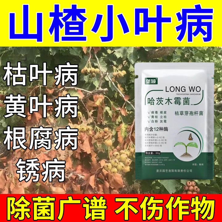 垄颖山楂小叶病专用叶面肥黄叶卷叶枯萎日灼病锈病除菌剂防病害水溶肥