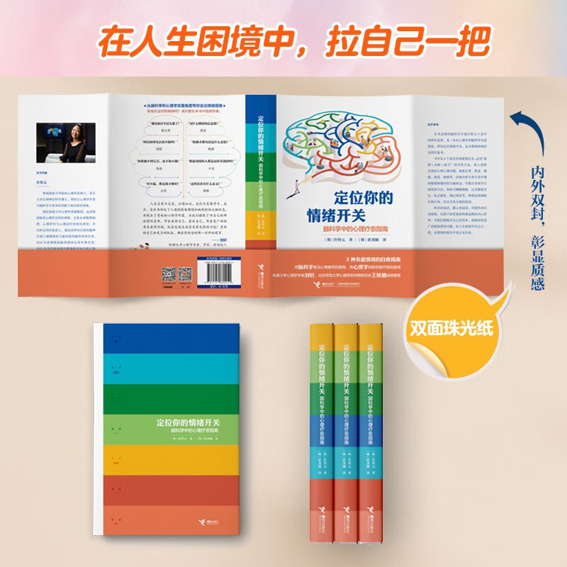 定位你的情绪开关：脑科学中的心理疗愈指南详情图