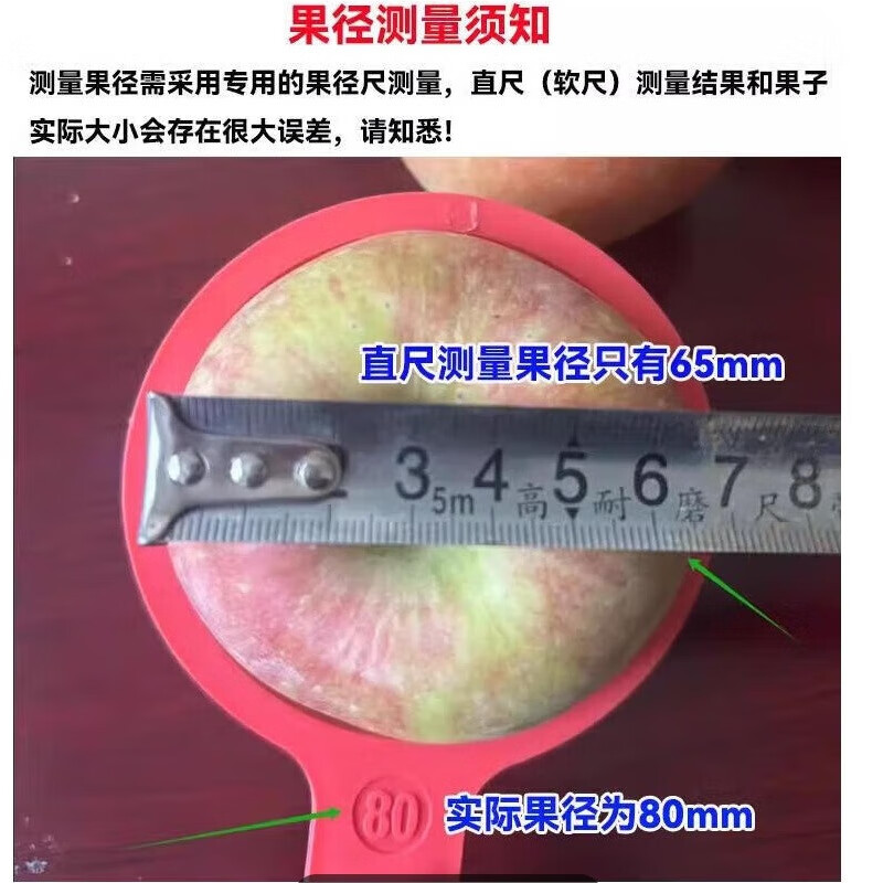 SHINE GRACE爱媛38号果冻橙四川橙子整箱应季水果新鲜橘子礼盒优质彩箱泡沫托 三通一达 净重8斤【单果75mm+】——推荐