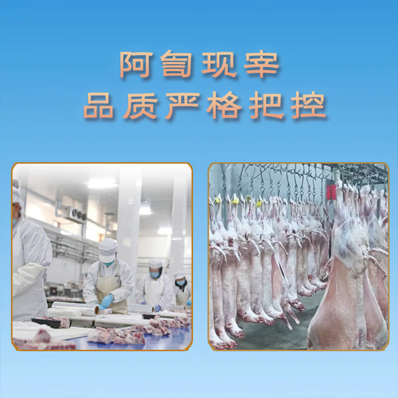午羊 宁夏滩羊肉 生鲜分割半只羊排年货礼盒羊腿羊蝎子烧烤火锅食材  【宁夏滩羊】分割半只羊6斤