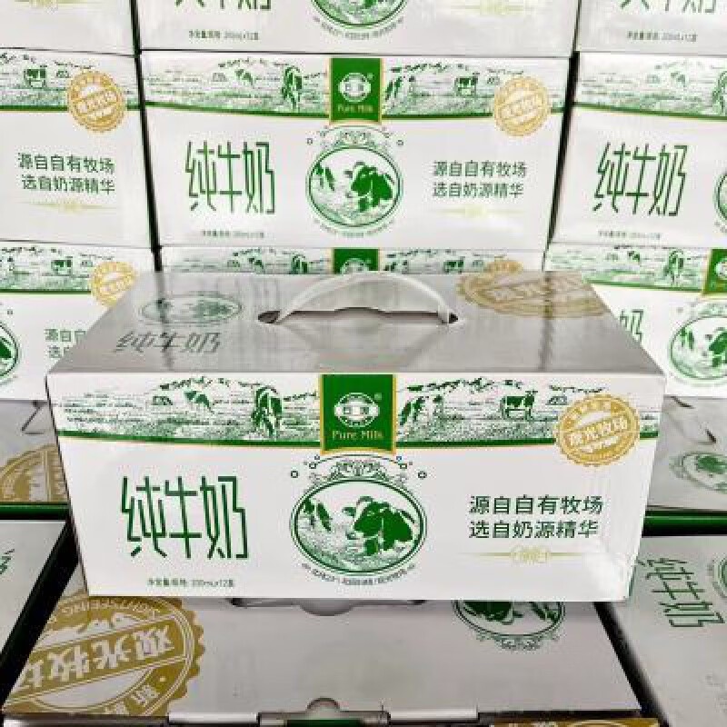 望蓝川广西石埠牧场纯牛奶200ml*12盒整箱学生营养早餐奶 200ml*12盒