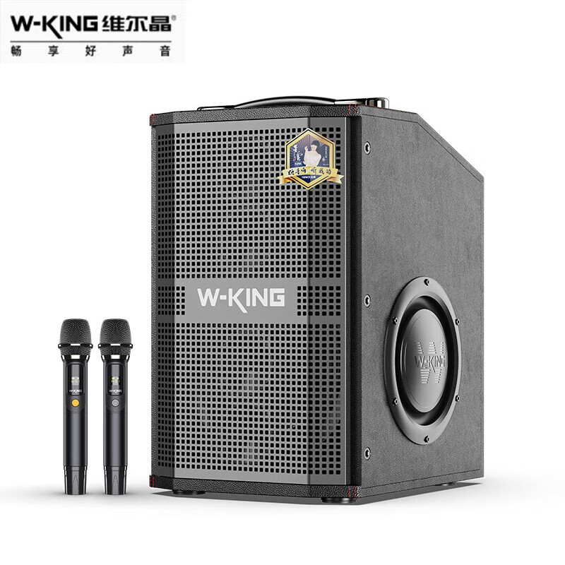 维尔晶(w-king)k20s大功率直播乐器弹唱音响内录外放 户外蓝牙广场舞