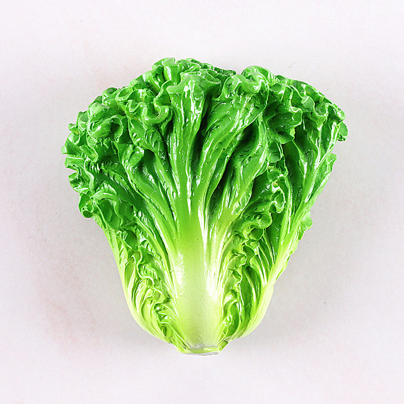 吾礼 卡通可爱创意蔬菜冰箱贴立体磁性贴装饰贴 生菜 中号