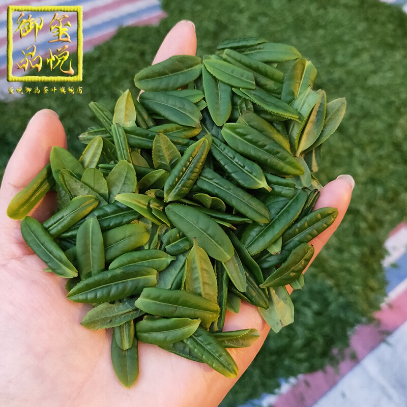 玺悦御品 六安原产瓜片2023新茶明前级特头采小叶片安徽 一套 品质装