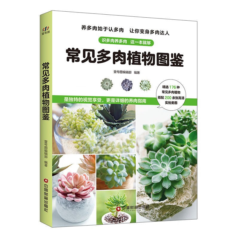 常见多肉植物图鉴家居园艺推荐书籍 精选176种多肉植物搭配200余张高清实拍美图 多肉植物百科书 深红色 #1