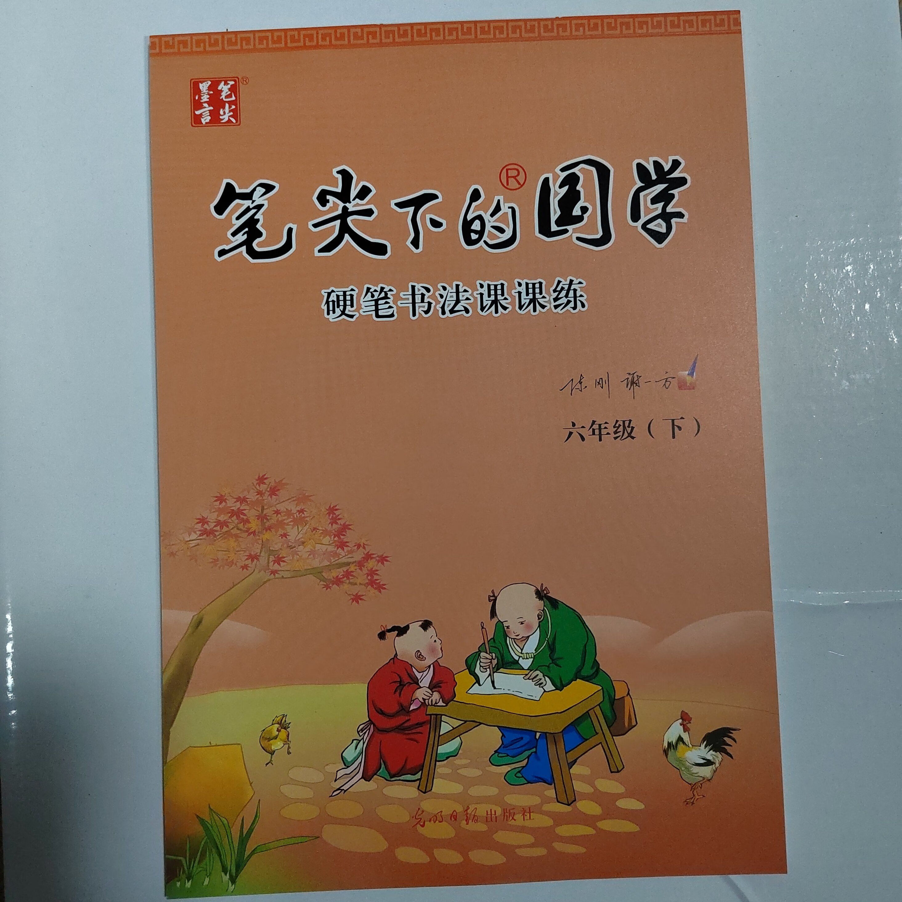 2022春笔尖下的国学硬笔书法课课练1-八年级下册语文同步练 六年级下册