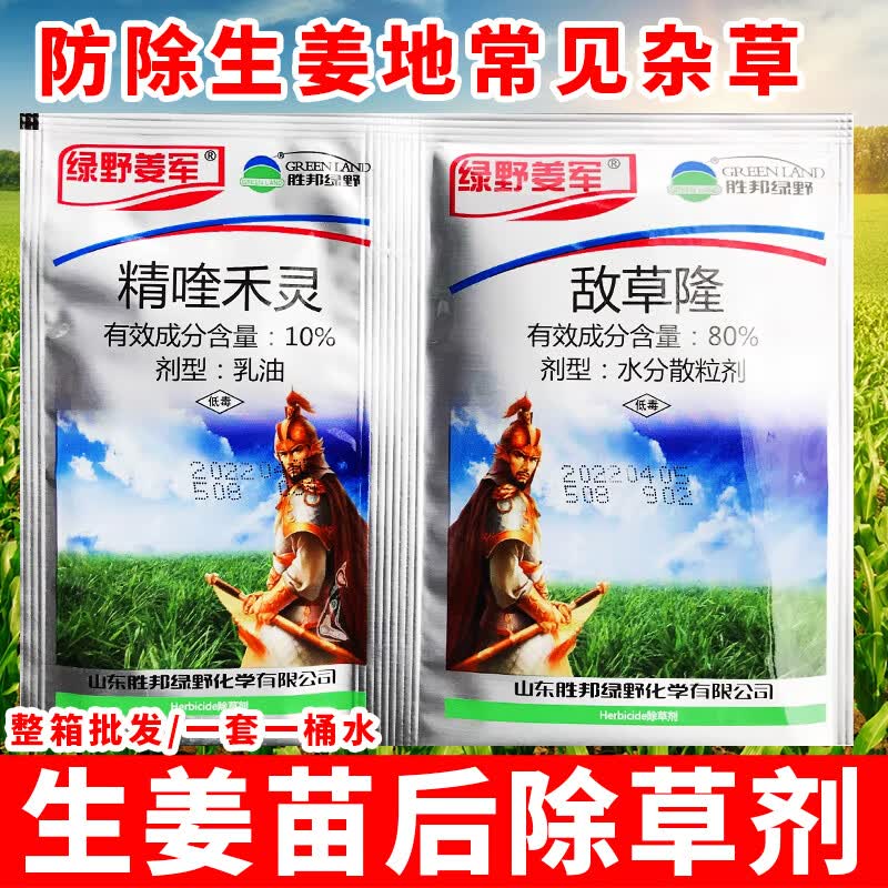 植轻松生姜除草剂生姜专用除草剂敌草隆 精喹禾灵生姜田苗后除草剂