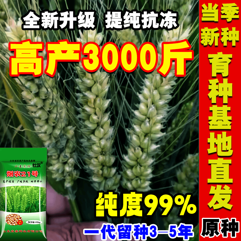 批发小麦种子大全原装稳产抗冻抗旱硬质新种麦穗原种留种麦种 烟农21国审小麦【原种可留种】 【30斤】国审品质+宋拌种剂高性价比高么？