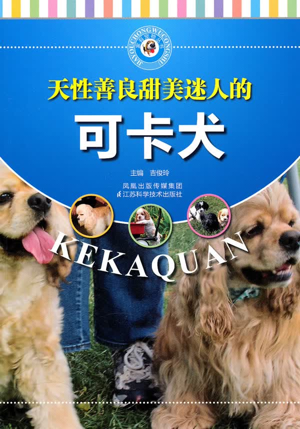 天性善良甜美迷人的可卡犬【正版图书】