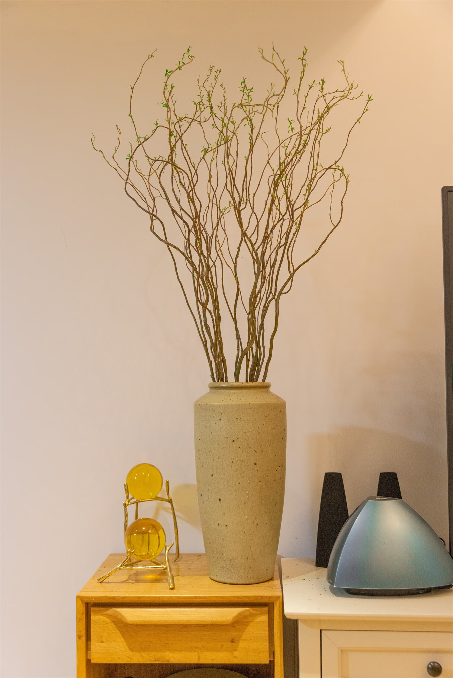 德国进口金龙柳鲜切枝易生根发芽室内水培中大型绿植物四季好养 国产