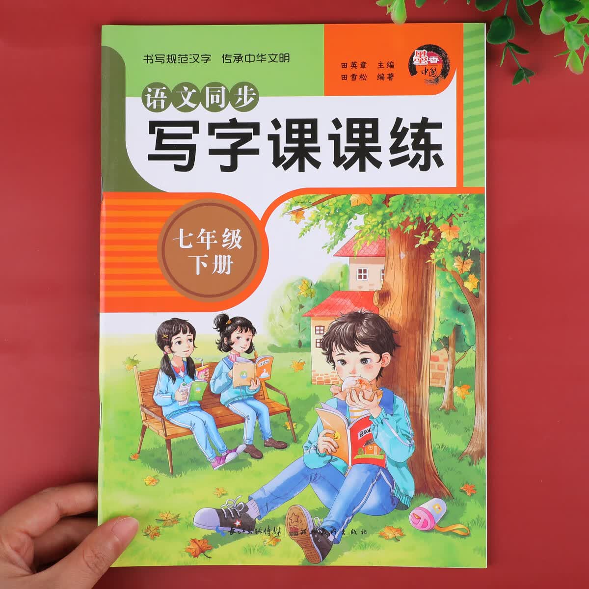 七年级下册语文字帖人教版初一同步写字课课练初中生专用控笔训练笔画