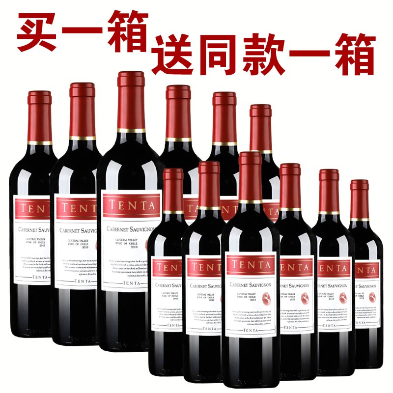 【购一箱发两箱】智利原瓶进口红酒整箱品种级干红葡萄酒天帕国外原箱共2箱12支 红酒整箱
