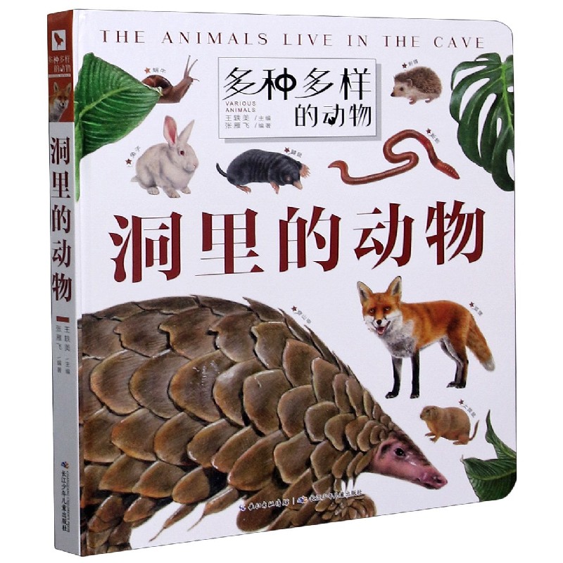 洞里的动物(精)/多种多样的动物