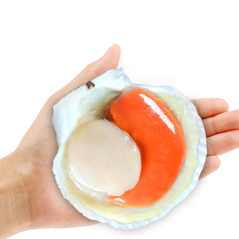 惊喜！价格稳步上涨，趁现在购买！|贝类京东史低