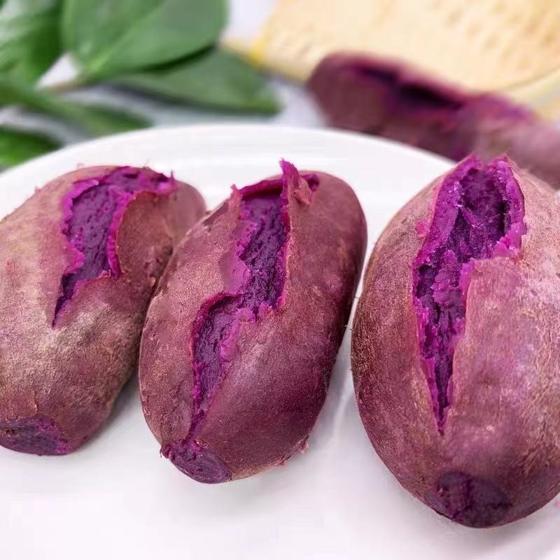 云南沙地紫薯引领根茎蔬菜潮流